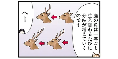 へー