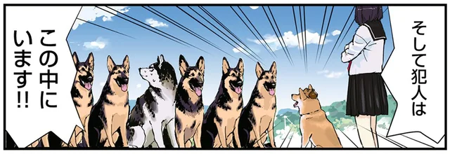 「犯人はこの中にいます！」柴犬の名推理を邪魔する犬たちの習性