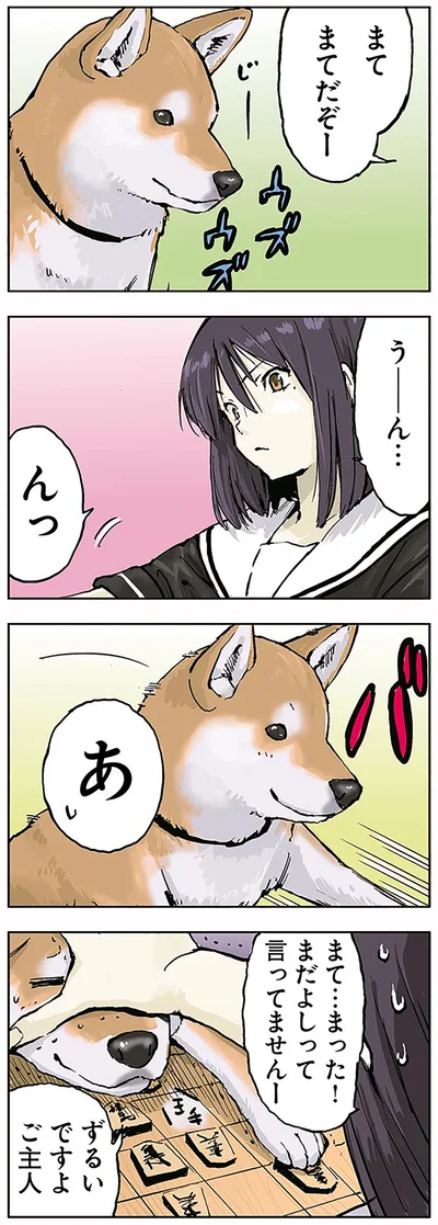 『世界の終わりに柴犬と』より
