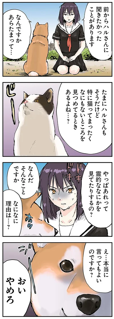 『世界の終わりに柴犬と』より
