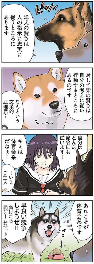 『世界の終わりに柴犬と』より