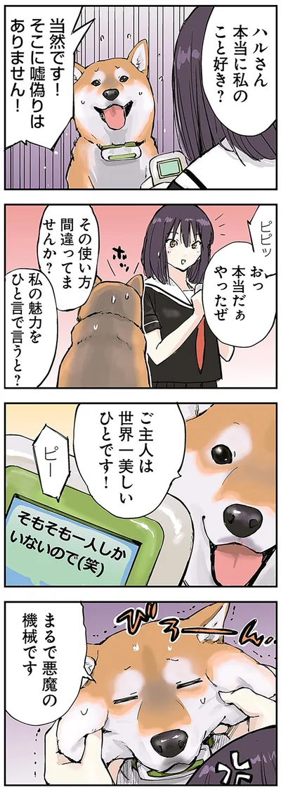 『世界の終わりに柴犬と』より