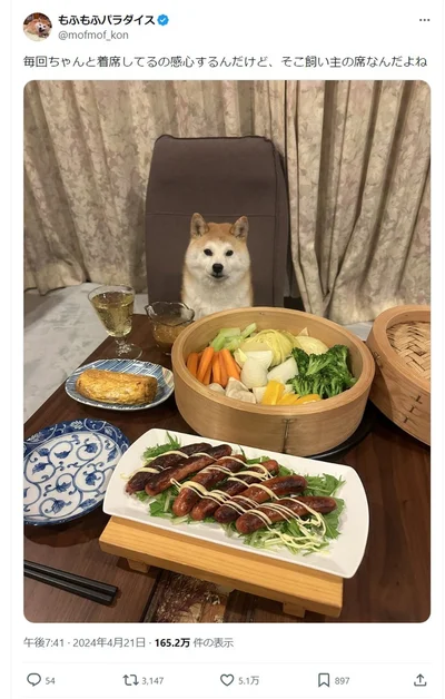 お行儀よく座っていたのは飼い主さんの席でした▶貰えないと分かっていても飼い主さんの席に座るのが日課（⇒次へ）