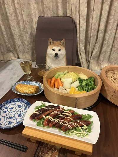 美味しそうな食事とお行儀よく座っているワンコ▶食事が始まるのを待っているのかな…？（⇒次へ）