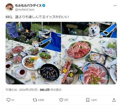 誰よりも楽しんでいるコンちゃんの様子のポスト▶まだある！コンちゃんの可愛い写真（⇒次へ）