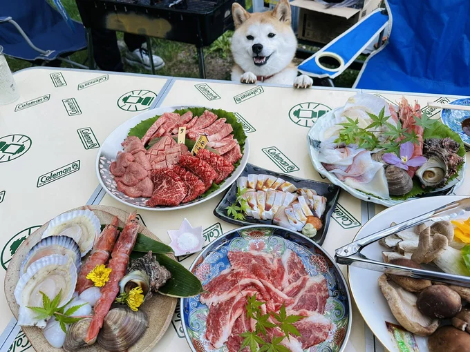 前足をテーブルに乗せてワクワクしているのが伝わってきます▶このときのポストは9万いいね！を集めました（⇒次へ）