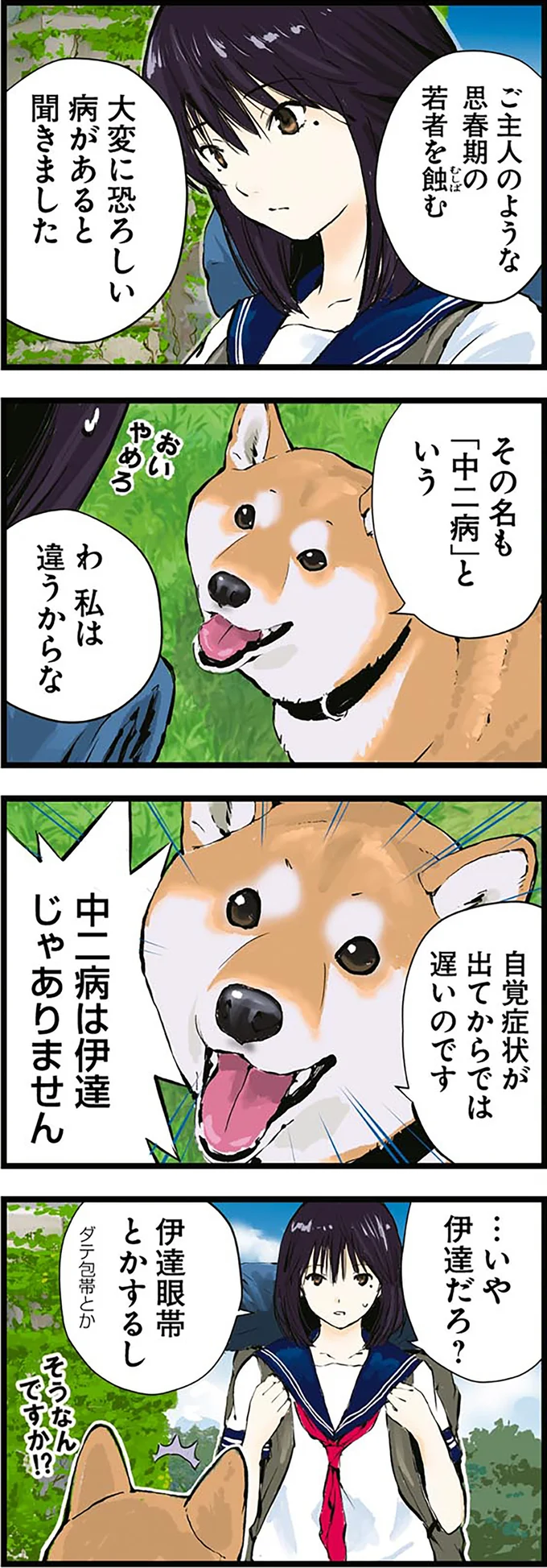 『世界の終わりに柴犬と4』より