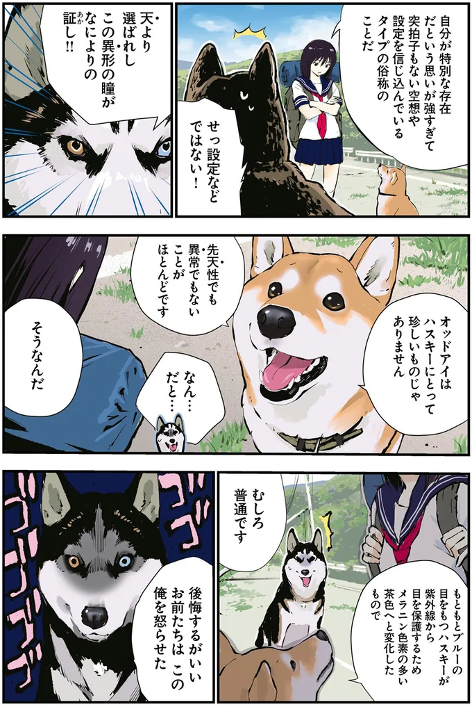 『世界の終わりに柴犬と4』より