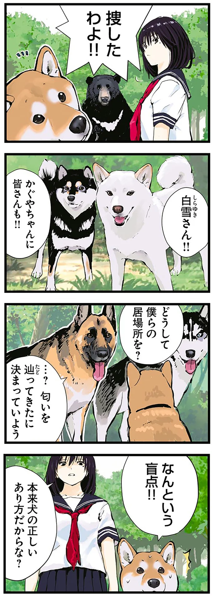 『世界の終わりに柴犬と4』より
