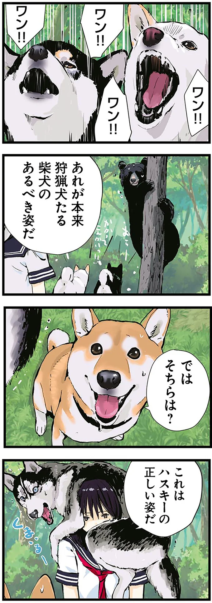 『世界の終わりに柴犬と4』より