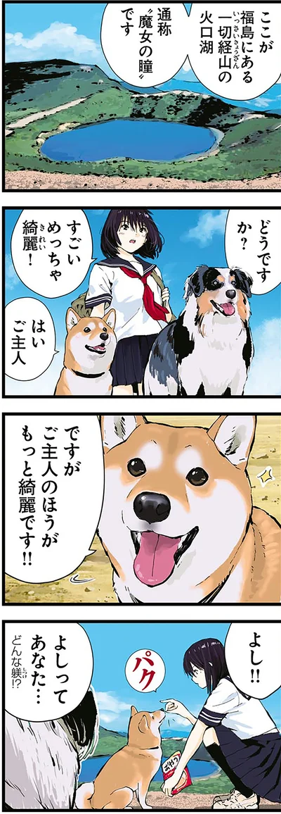 『世界の終わりに柴犬と4』より