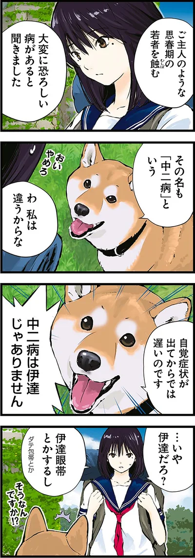 …いや伊達だろ？