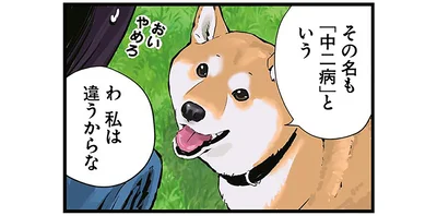 私は違うからな