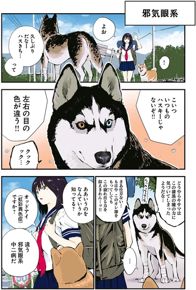 ああいうのをなんていうか知ってる？
