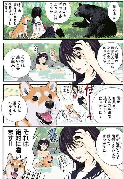 それは違います