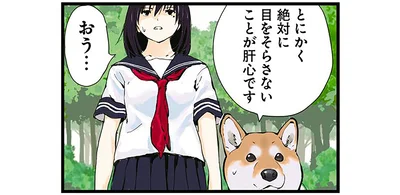 とにかく絶対に目をそらさないことが肝心です