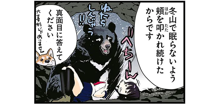 真面目に答えて！遭難中に命を落とす一番の原因を柴犬が断言