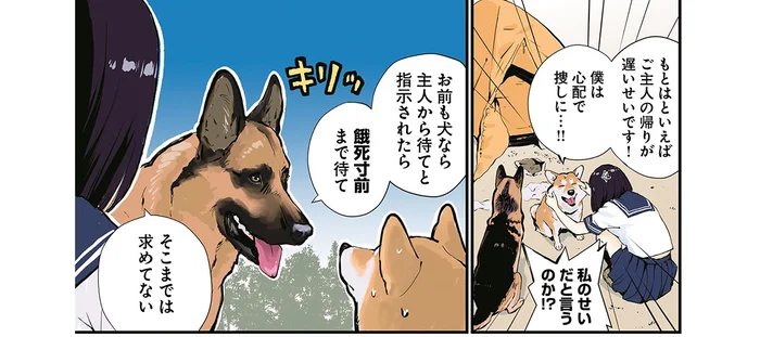 なぜか責任がシェパードに!?留守番を任せた柴犬の言い訳