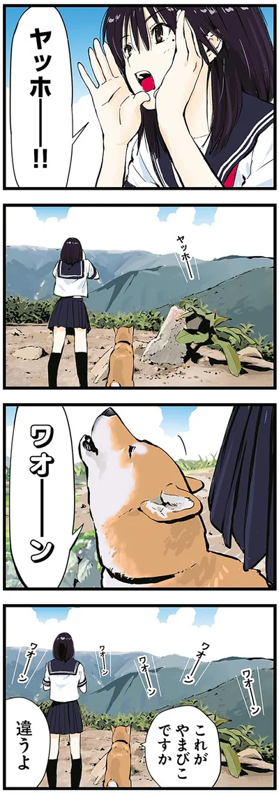 これがやまびこですか
