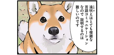 説明するのは難しいのです