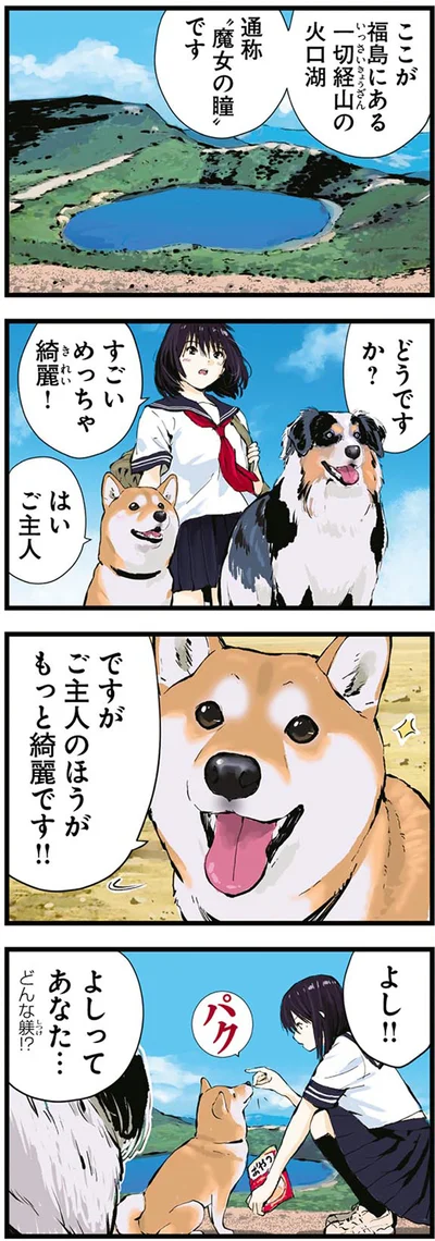 ご主人のほうがもっと綺麗です！！