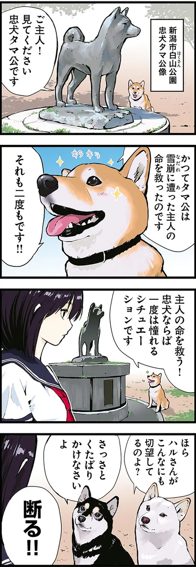 ご主人！見てください