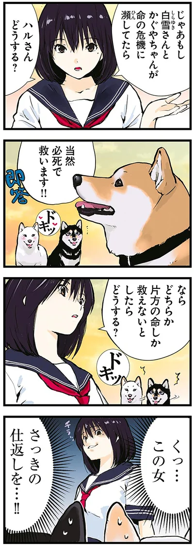 どちらか片方の命しか救えないとしたらどうする？