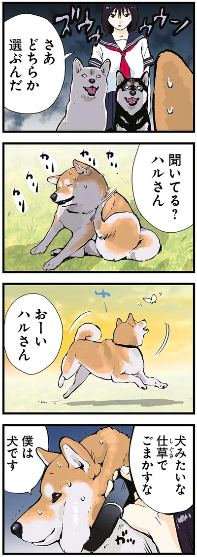 犬みたいな仕草でごまかすな