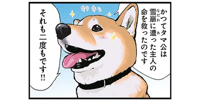 それも二度もです！！