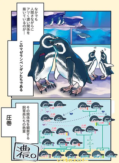 『下町ペンギン物語』より