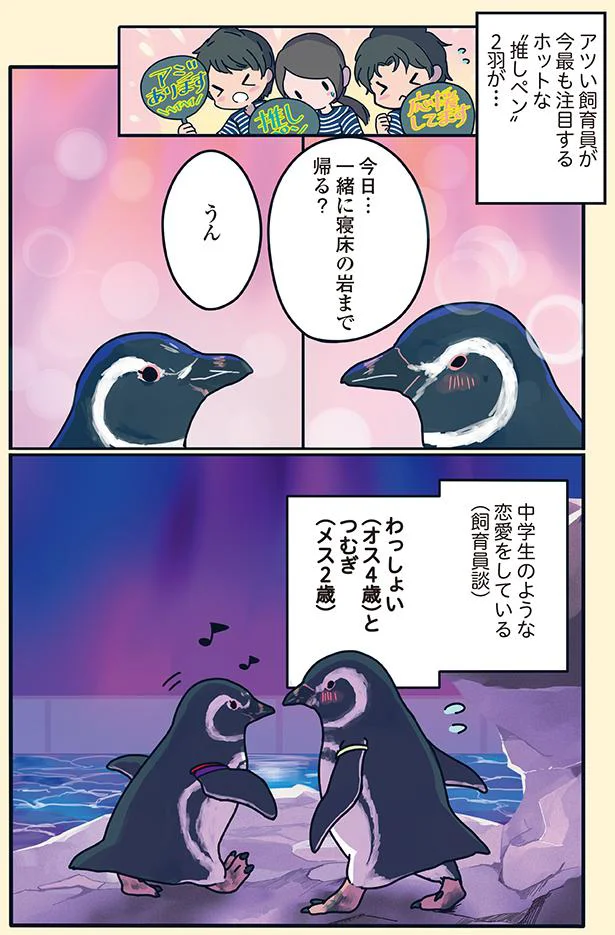 『下町ペンギン物語』より