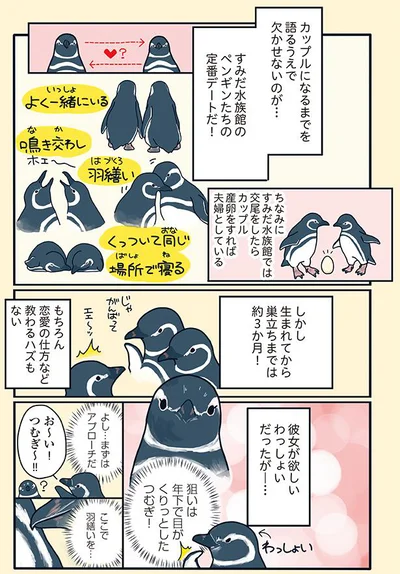 『下町ペンギン物語』より