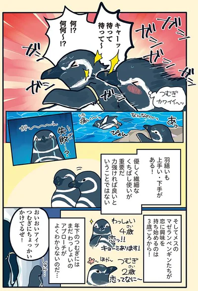 『下町ペンギン物語』より