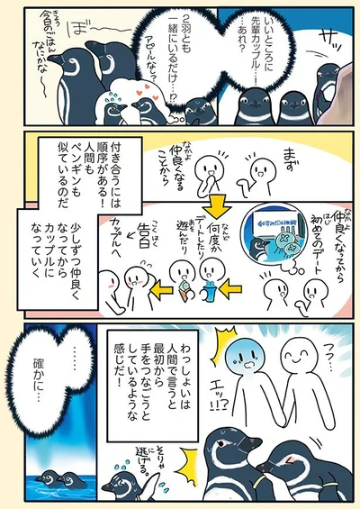 『下町ペンギン物語』より