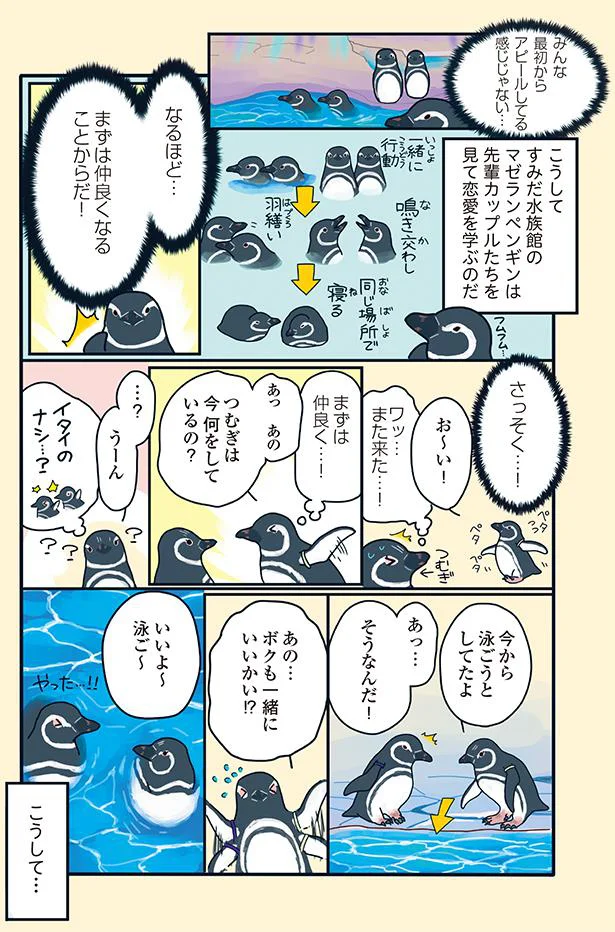 『下町ペンギン物語』より