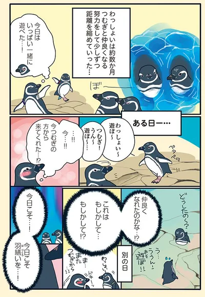 『下町ペンギン物語』より