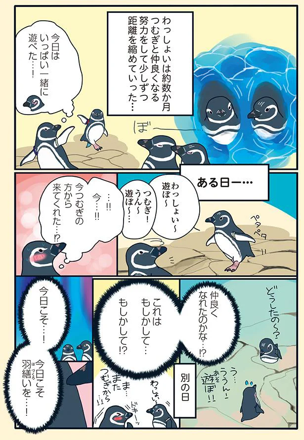 『下町ペンギン物語』より