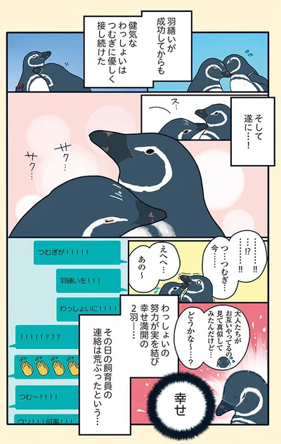 『下町ペンギン物語』より