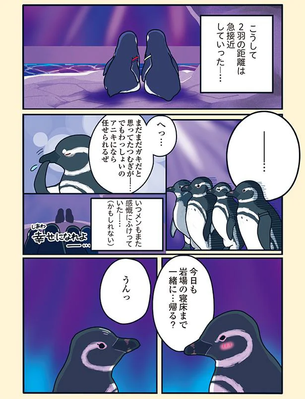 『下町ペンギン物語』より