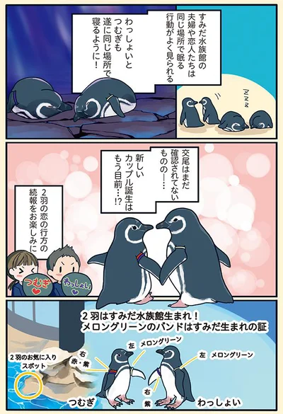 『下町ペンギン物語』より