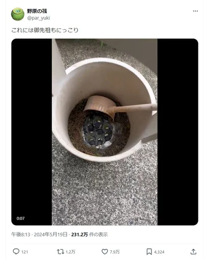 「これには御先祖もにっこり」とポスト▶野原の筏さんは他にも生き物の様子を投稿しています（⇒次へ）
