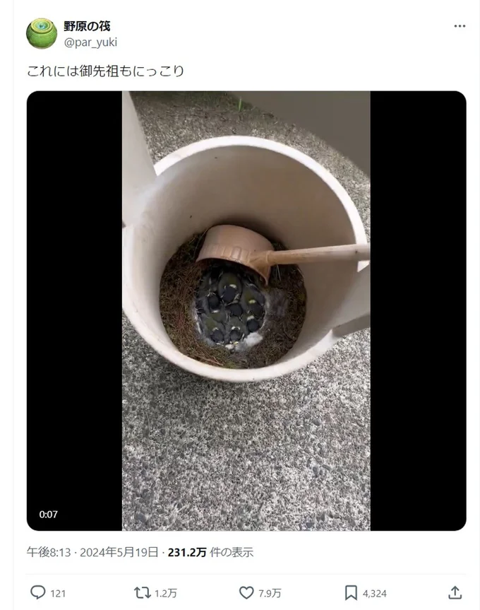 「これには御先祖もにっこり」とポスト▶野原の筏さんは他にも生き物の様子を投稿しています（⇒次へ）