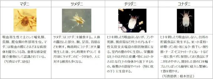 ダニの種類