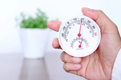気温20℃以上、湿度60％以上でダニは大量繁殖!?