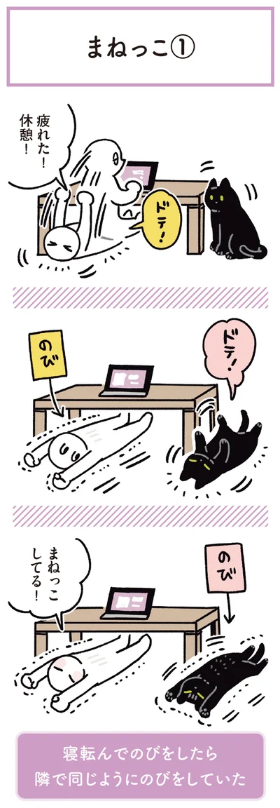 『黒猫ろんと暮らしたら6』より