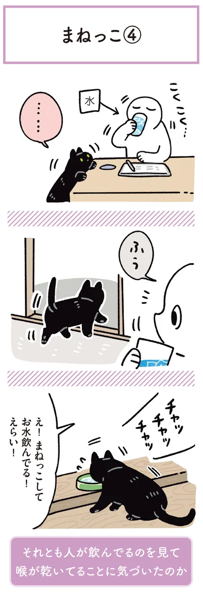『黒猫ろんと暮らしたら6』より