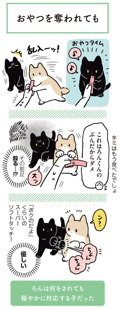 『黒猫ろんと暮らしたら6』より