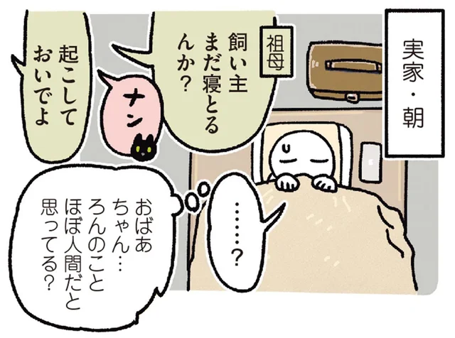 「ろんのこと、ほぼ人間だと思ってる？」祖母の雑用を素直に手伝う黒猫