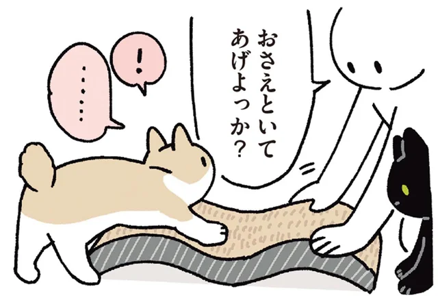 飼い主だけじゃなかった。動いてしまう猫用爪とぎをおさえるお仕事