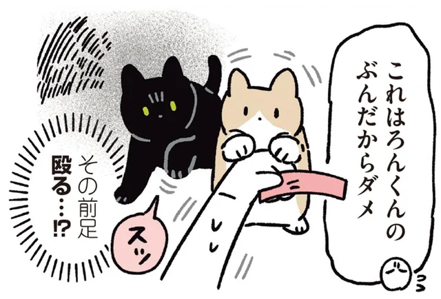 ケンカになるかと思いきや。おやつを奪われても紳士対応な黒猫